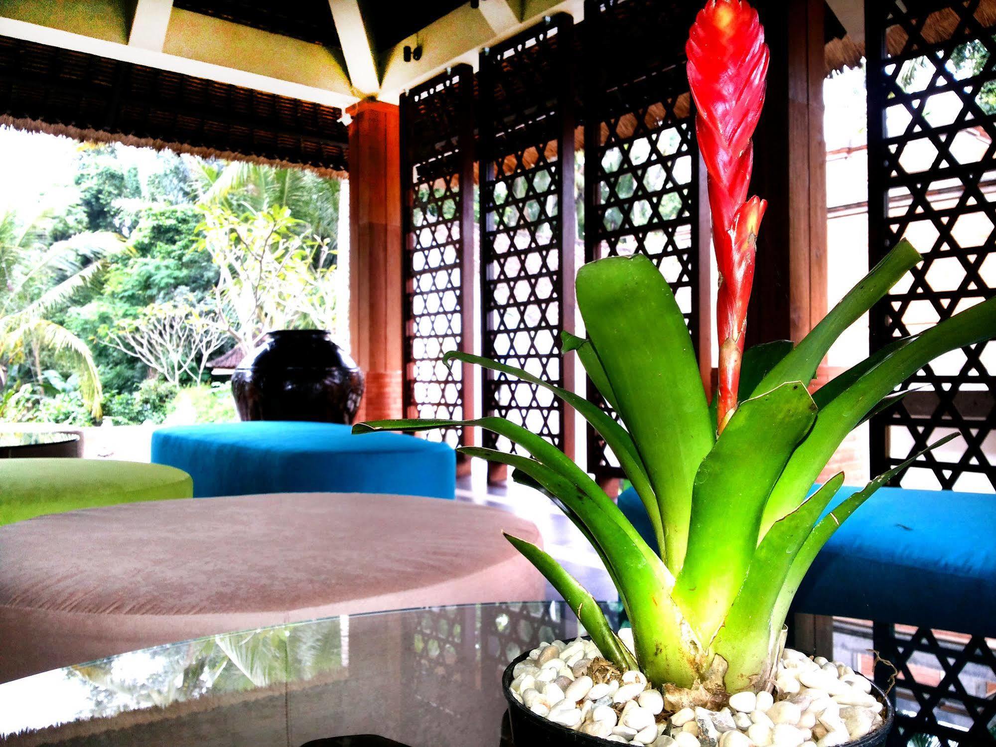 Full Moon Villa Ubud מראה חיצוני תמונה